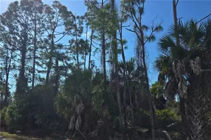 Lot 29 / Block 254 Allegheny Ln, North Port, FL 34286 - Photo 1