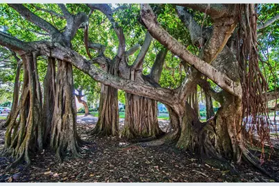 1041 Capri Isles Boulevard #104, Venice, FL 34292 - Photo 54