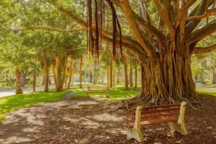 12240 Stuart Dr, Venice, FL 34293 - Photo 48