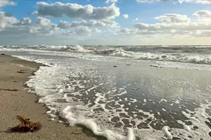 1725 Overbrook Rd, Englewood, FL 34223 - Photo 88