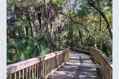 209 Mestre Place, North Venice, FL 34275 - Photo 42