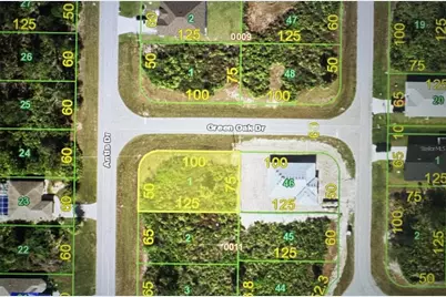 105 Green Oak Drive, Rotonda West, FL 33947 - Photo 1