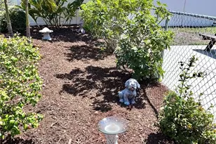 519 Albee Farm Rd, Venice, FL 34285 - Photo 34