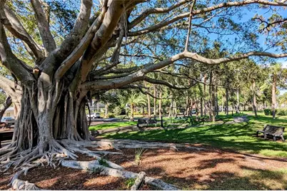 206 Vista Del Lago Way, Venice, FL 34292 - Photo 34