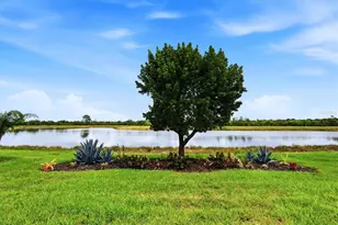 10474 Medjool Dr, Venice, FL 34293 - Photo 12