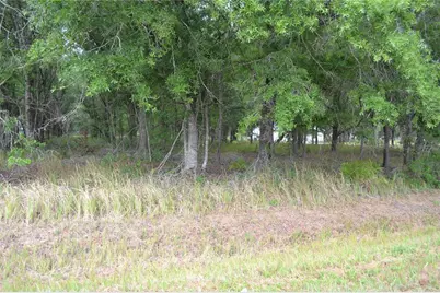 Bostick Road, Bowling Green, FL 33834 - Photo 6