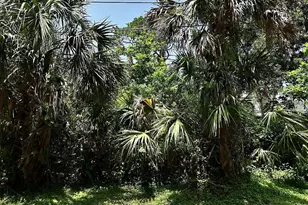 Glenwood Ave, Osprey, FL 34229 - Photo 2