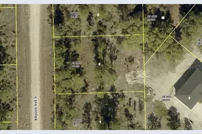315 Briggs Avenue S, Lehigh Acres, FL 33974 - Photo 1