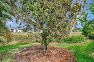 625 Misty Pine Dr, Venice, FL 34292 - Photo 44