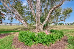 625 Misty Pine Dr, Venice, FL 34292 - Photo 42
