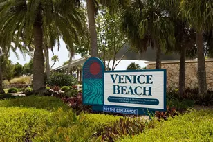 302 Stone Briar Creek Dr, Venice, FL 34292 - Photo 66