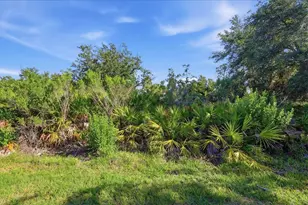 12540 Canavese Ln, Venice, FL 34293 - Photo 60