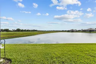 4238 Golden Crk Ter, Parrish, FL 34219 - Photo 18