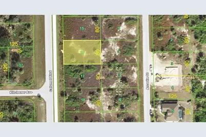 10204 Calumet Boulevard, Port Charlotte, FL 33981 - Photo 1