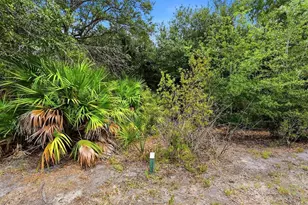 238 Vestavia Dr, Venice, FL 34292 - Photo 32