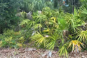 Mendavia Terrace, North Port, FL 34286 - Photo 1