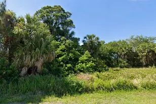 Lot 31 Elias Circle, North Port, FL 34288 - Photo 1