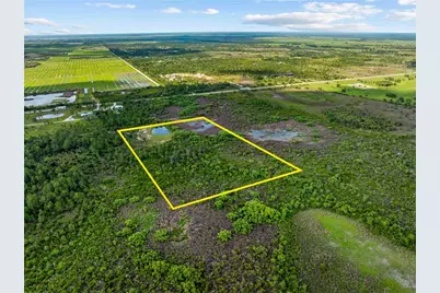 49909 Bermont Road, Punta Gorda, FL 33982 - Photo 4