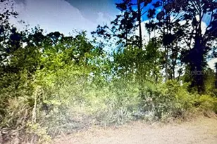 13153 Selzer Ave, Port Charlotte, FL 33953 - Photo 1