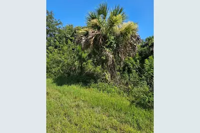 18137 Sinatra Avenue, Port Charlotte, FL 33954 - Photo 2