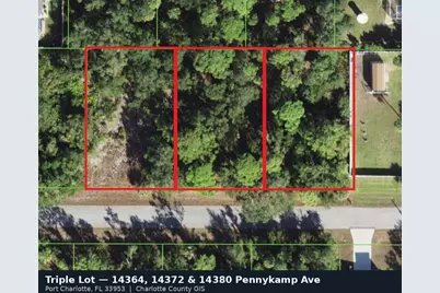 14372 Pennykamp Avenue, Port Charlotte, FL 33953 - Photo 2