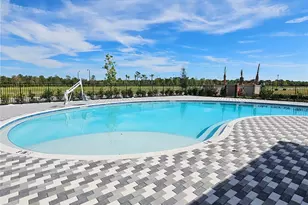 10710 Tiger Lily Dr, Venice, FL 34293 - Photo 48