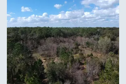 0 Crooked Mile Road, Paisley, FL 32767 - Photo 2