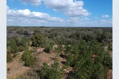 00 Crooked Mile Road, Paisley, FL 32767 - Photo 2