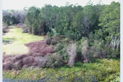 0 Gracie Drive, Paisley, FL 32767 - Photo 4