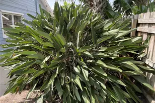 4513 Saxon Dr, New Smyrna Beach, FL 32169 - Photo 10