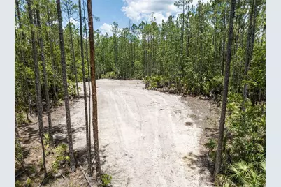 Cedar Road, New Smyrna Beach, FL 32168 - Photo 6