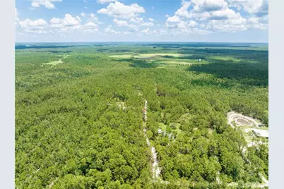 Cedar Road, New Smyrna Beach, FL 32168 - Photo 12