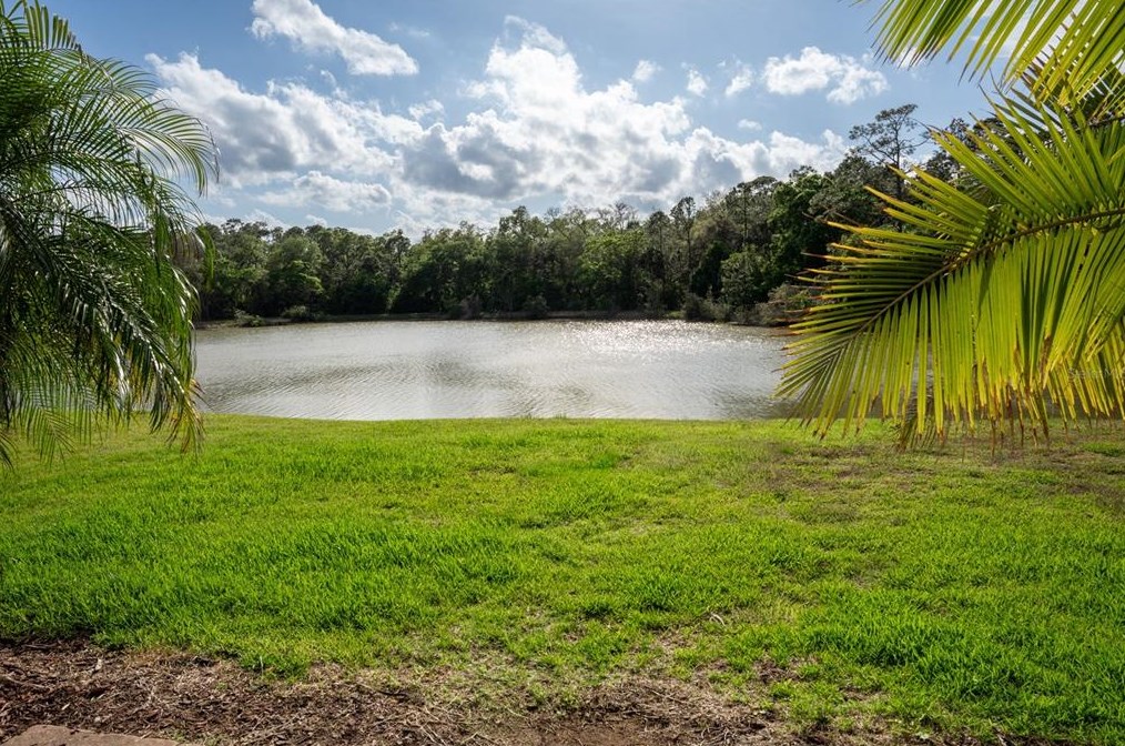 3577 Casalta Cir, New Smyrna FL  32168-4519 exterior