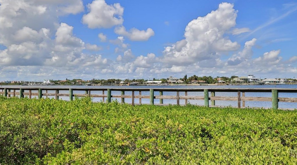 407 Bouchelle Dr, New Smyrna FL  32169-5497 exterior