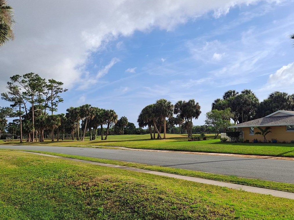 905 Fairvilla Dr, New Smyrna, FL 32168