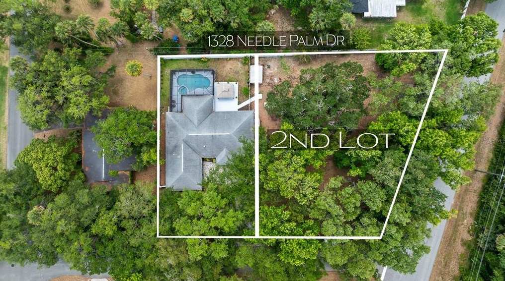 1328 Needle Palm Dr, Edgewater, FL 32132
