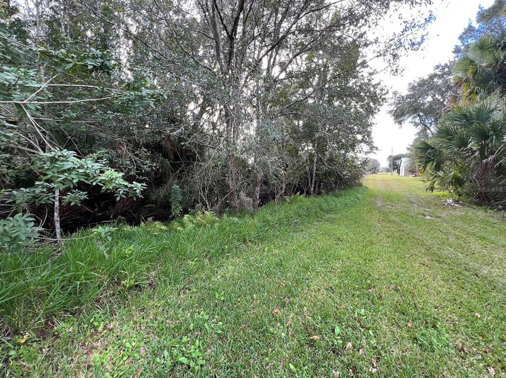 469 Samsula Dr, New Smyrna, FL 32168-8767