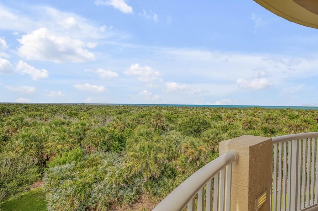 261 Minorca Beach Way #401, New Smyrna, FL 32169