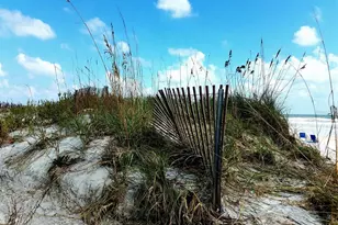 11 Andrea Dr, New Smyrna Beach, FL 32168 - Photo 40