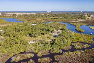 1390 Tumblin Dr, New Smyrna Beach, FL 32168 - Photo 6