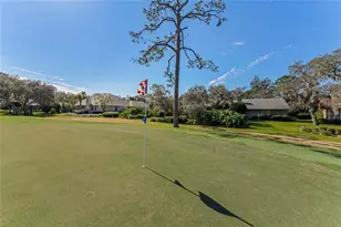 507 Boxwood Ln, New Smyrna Beach, FL 32168 - Photo 42