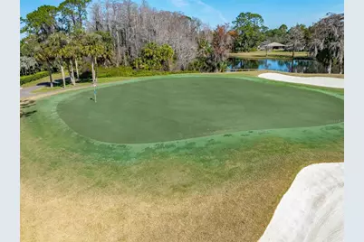 507 Boxwood Lane, New Smyrna Beach, FL 32168 - Photo 46