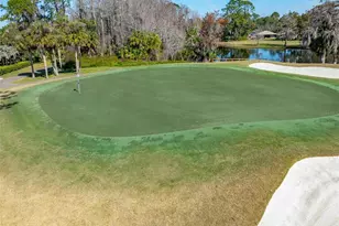 507 Boxwood Ln, New Smyrna Beach, FL 32168 - Photo 46