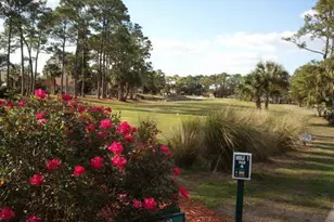 26 Birdie Dr, New Smyrna Beach, FL 32168 - Photo 30