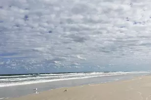 26 Birdie Dr, New Smyrna Beach, FL 32168 - Photo 40