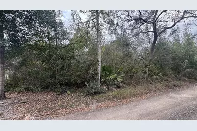 860 Lancaster Avenue, Orange City, FL 32763 - Photo 6