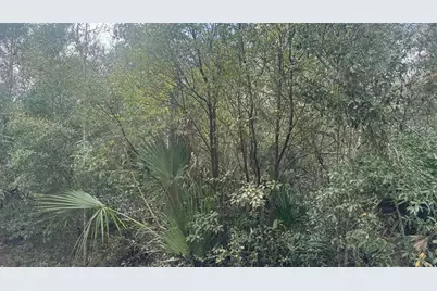 860 Lancaster Avenue, Orange City, FL 32763 - Photo 8