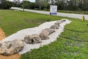 303 N Janice Ln, Ormond Beach, FL 32174 - Photo 2