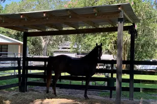 1715 Fern Park Dr, Port Orange, FL 32128 - Photo 78