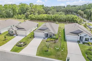 1012 Bradford Rdg Dr, Leesburg, FL 34748 - Photo 42